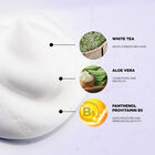 Vibes "Bodied" Volumizing Foam, , large image number null
